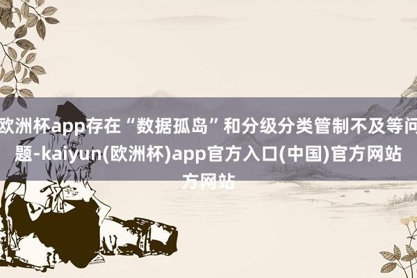 欧洲杯app存在“数据孤岛”和分级分类管制不及等问题-kaiyun(欧洲杯)app官方入口(中国)官方网站