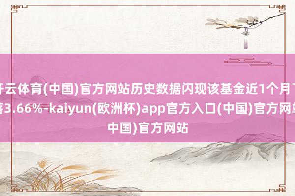 开云体育(中国)官方网站历史数据闪现该基金近1个月下落3.66%-kaiyun(欧洲杯)app官方入口(中国)官方网站